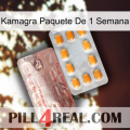 Kamagra 1 Week Pack new13